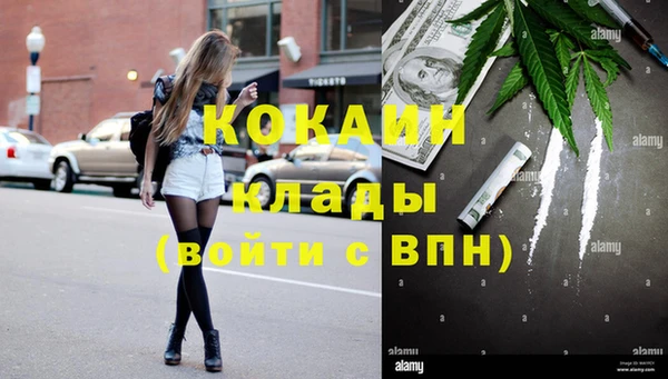 бошки Алзамай