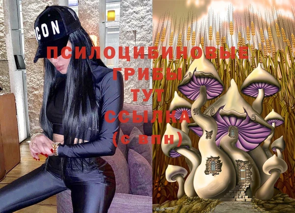 герыч Алексеевка