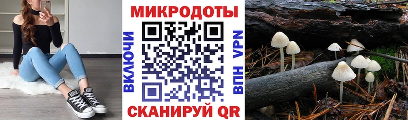 Псилоцибиновые грибы прущие грибы  дарнет шоп  Саранск 